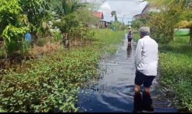 Bupati Afrizal Sintong: Banjir Di Rohil Kiriman Dari Perusahaan