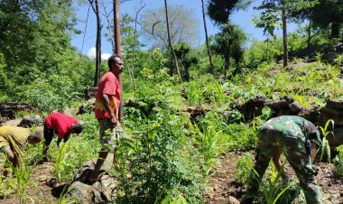 Tingkatkan Kedekatan ke Masyarakat Pos Aplal Satgas Yonkav 6/Naga Karimata Bantu Petani Jagung