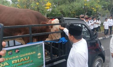 Distribusi Hewan Kurban Kapolda Riau 2025
