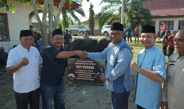 Wabup Siak Serahkan Sapi Qurban Bantuan Presiden untuk Warga Tanjung Pal