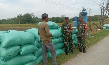 Babinsa Datangi Sawah, Tanyakan Hal Mengejutkan ke Petani