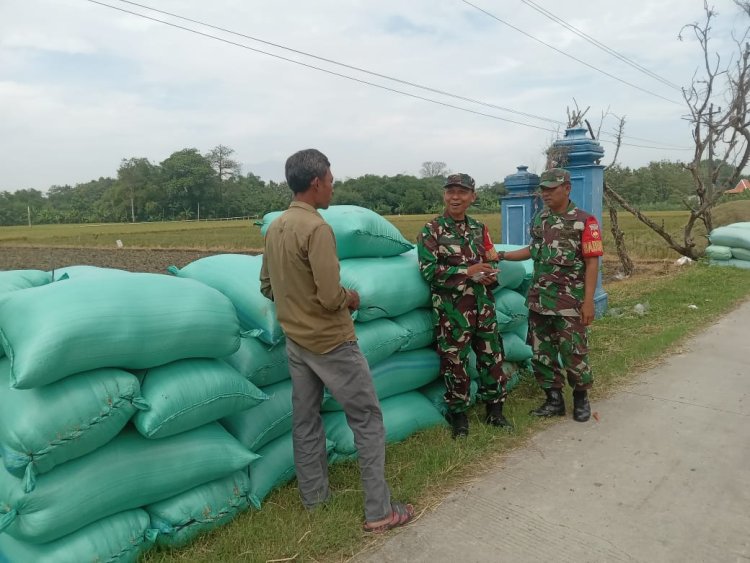Babinsa Datangi Sawah, Tanyakan Hal Mengejutkan ke Petani