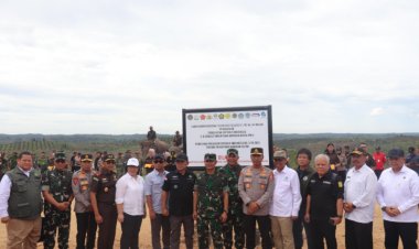 LAMR Desak Penjarakan Perambah TNTN: Hutan Riau Dirusak Adat Palsu