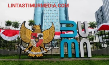 30 Wakil Menteri Rangkap Komisaris BUMN, Ini Daftarnya