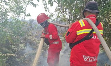 Hotspot Riau Tersisa 4, Karhutla 2025 Berhasil Dikendalikan