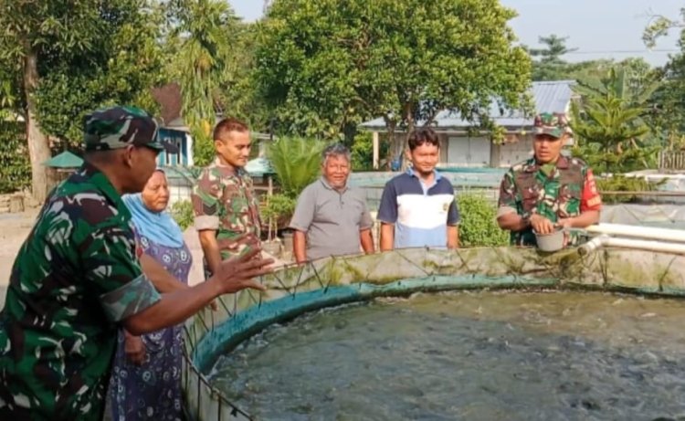 Babinsa Bantu Peternak Lele Tingkatkan Produksi di Sragen