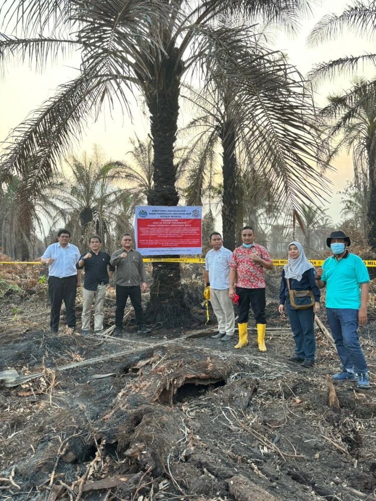 KLHK Segel 5 Perusahaan Terkait Karhutla Riau