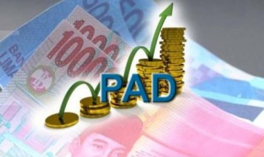 DPRD Ingatkan Pemprov Riau Antisipasi Penurunan PAD 2026