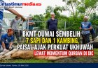 BKMT Dumai Sembelih 7 Sapi dan 1 Kambing, Paisal Ajak Perkuat Ukhuwah Lewat Qurban