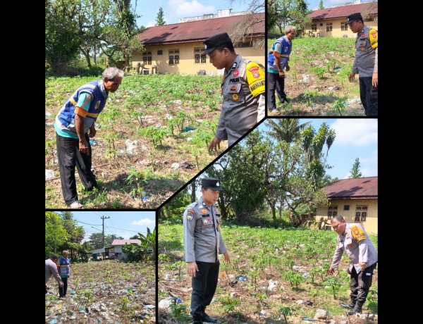 Polsek Kulim Bina Petani Singkong Dukung Ketahanan Pangan