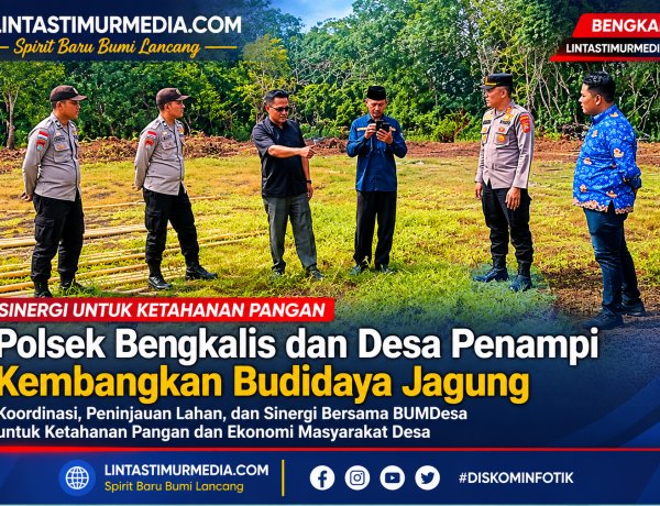Polsek Bengkalis Dorong Budidaya Jagung Desa Penampi