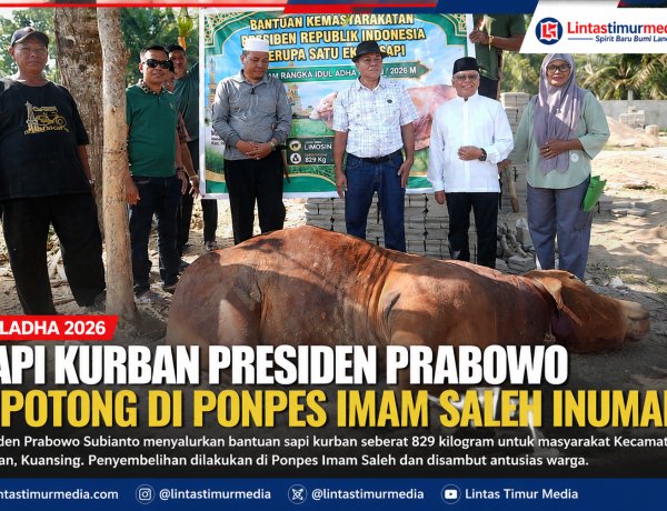 Sapi Kurban Presiden Prabowo Dipotong di Ponpes Imam Saleh Inuman