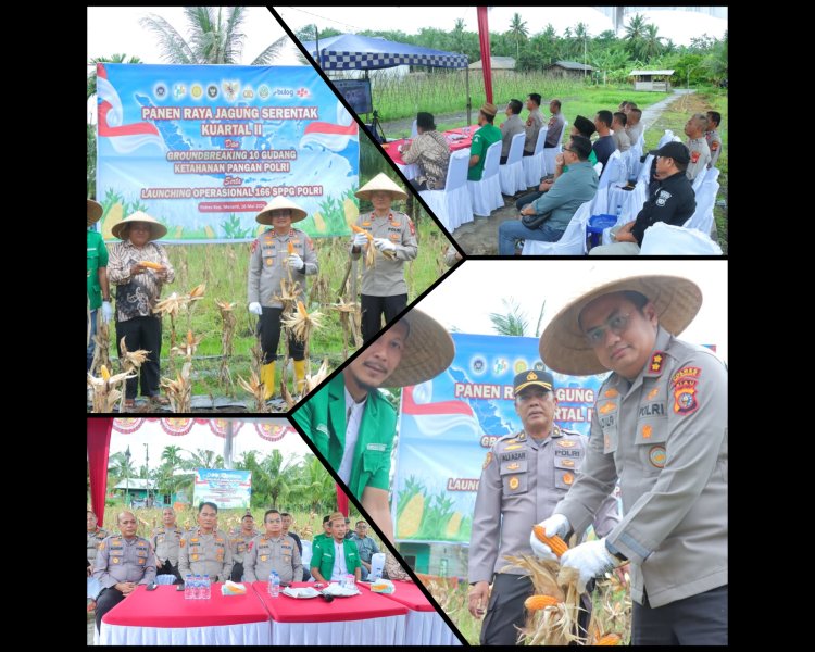 Polres Meranti Panen Raya Jagung Dukung Ketahanan Pangan Nasional