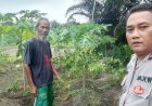 Manfaatkan Lahan Pekarangan Menjadi Produktif, Bhabinkamtibmas Polsek Pangkalan Kerinci Sambangi Warga Guna Dukung Ketahanan Pangan