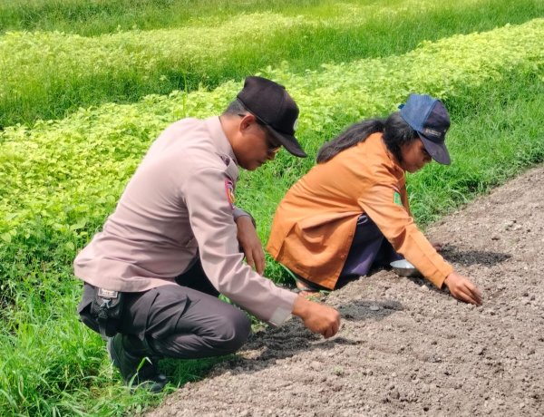 Personil Polsek Pangkalan Kerinci Monitoring Penyemaian di Lahan Bergizi Warga Binaan untuk Dukung Ketahanan Pangan