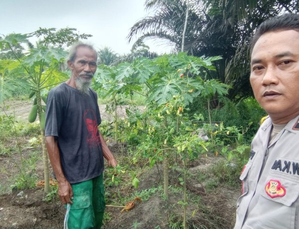 Manfaatkan Lahan Pekarangan Menjadi Produktif, Bhabinkamtibmas Polsek Pangkalan Kerinci Sambangi Warga Guna Dukung Ketahanan Pangan