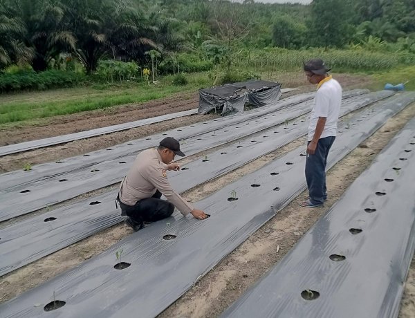 Tingkatkan Ketahanan Pangan,  Bhabinkamtibmas Aipda Wempi Kamri Sambangi Lahan Bergizi Warga Binaan