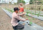 AIPTU Rudi Salam Sambangi Lahan Bergizi Warga Binaan, Dukung Program Ketahanan Pangan
