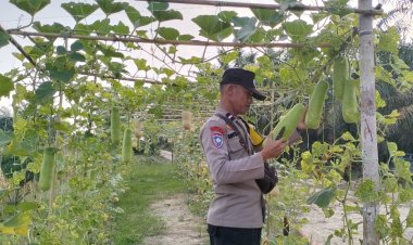 Bhabinkamtibmas Polsek Pangkalan Kerinci Sambangi Lahan Bergizi Warga, Dukung Ketahanan Pangan