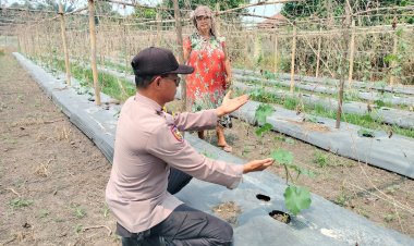 AIPTU Rudi Salam Sambangi Lahan Bergizi Warga Binaan, Dukung Program Ketahanan Pangan