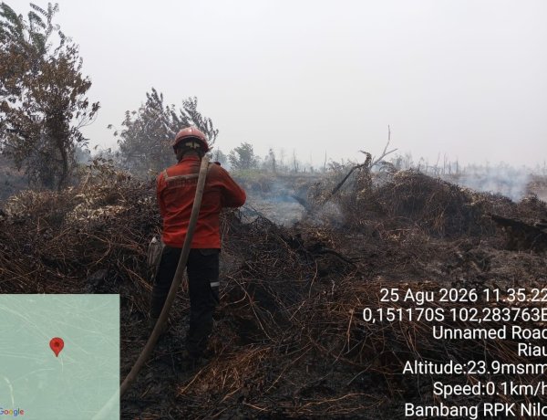 Berkomitmen RPK PT Arara Abadi  Berkolaborasi Ikut Berjibaku Padamkan Api di Kecamatan Kerumutan   