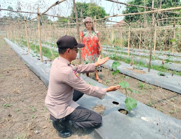 AIPTU Rudi Salam Sambangi Lahan Bergizi Warga Binaan, Dukung Program Ketahanan Pangan