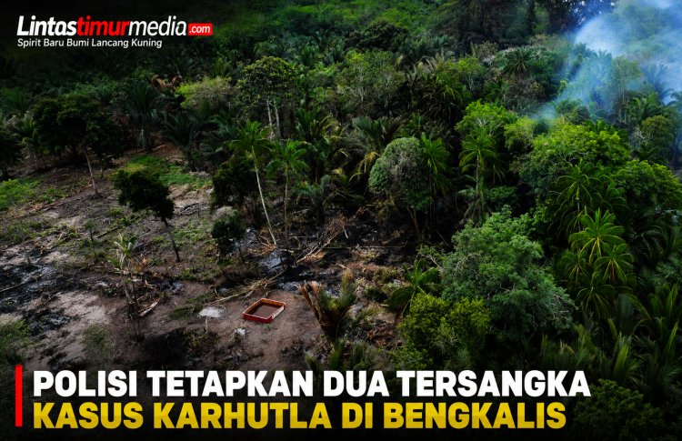 Polisi Tetapkan 2 Tersangka Karhutla di Bengkalis