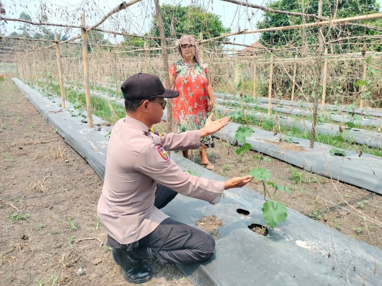 AIPTU Rudi Salam Sambangi Lahan Bergizi Warga Binaan, Dukung Program Ketahanan Pangan