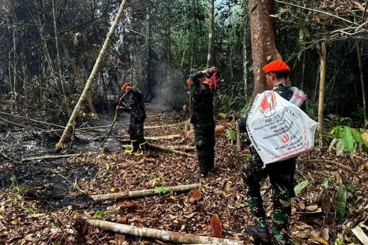 Kopasgat Kerahkan 3 Tim Tangani Karhutla Pelalawan