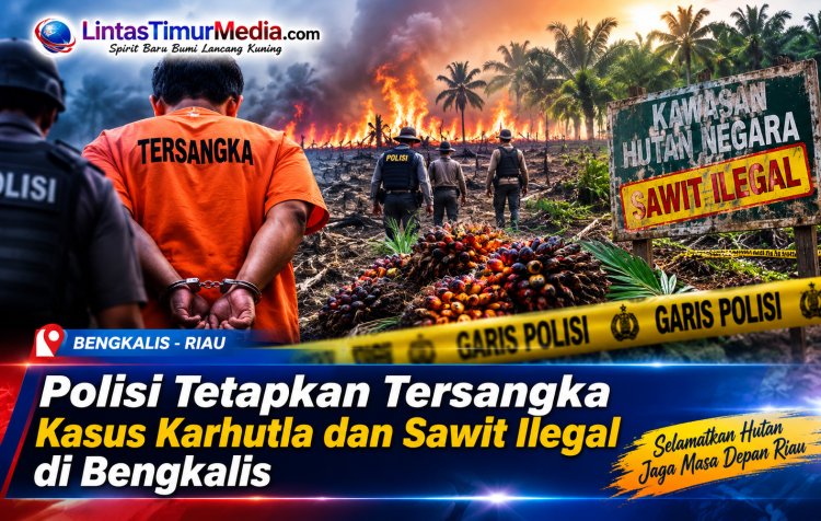 Perambahan Hutan Bengkalis, Polisi Tetapkan Tersangka