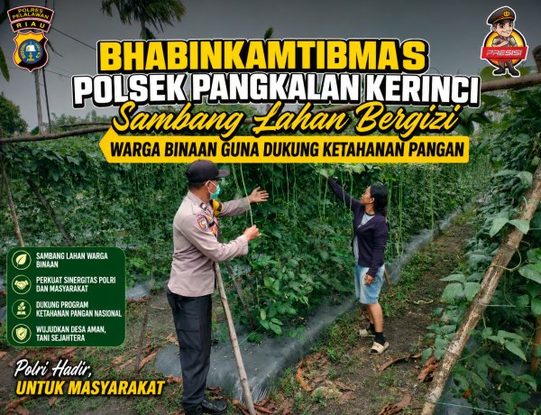 Bhabinkamtibmas Polsek Pangkalan Kerinci Sambangi Lahan Bergizi Warga Binaan, Dukung Ketahanan Pangan